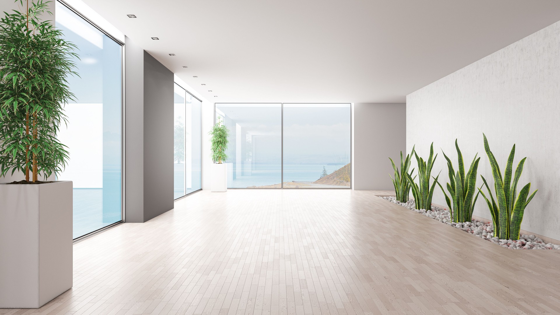Empty Modern Large Room with Plants and Amazing View